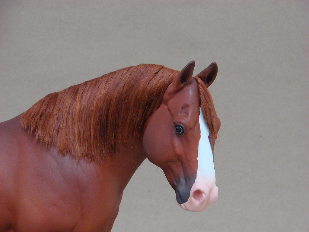 Cavalo Marrom