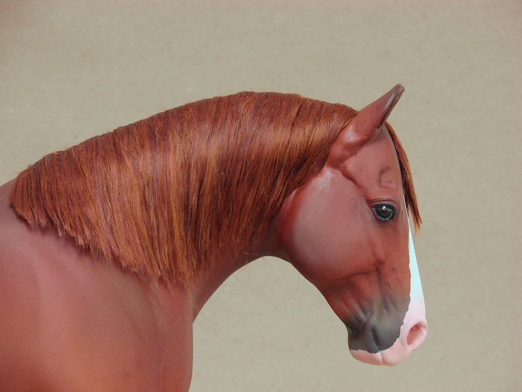 Cavalo Marrom